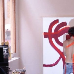 TISM Live Paintmapping Session @ L’Usine – Hallux Valgus